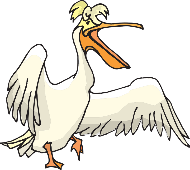 Pelican PNG Clipart Background HD