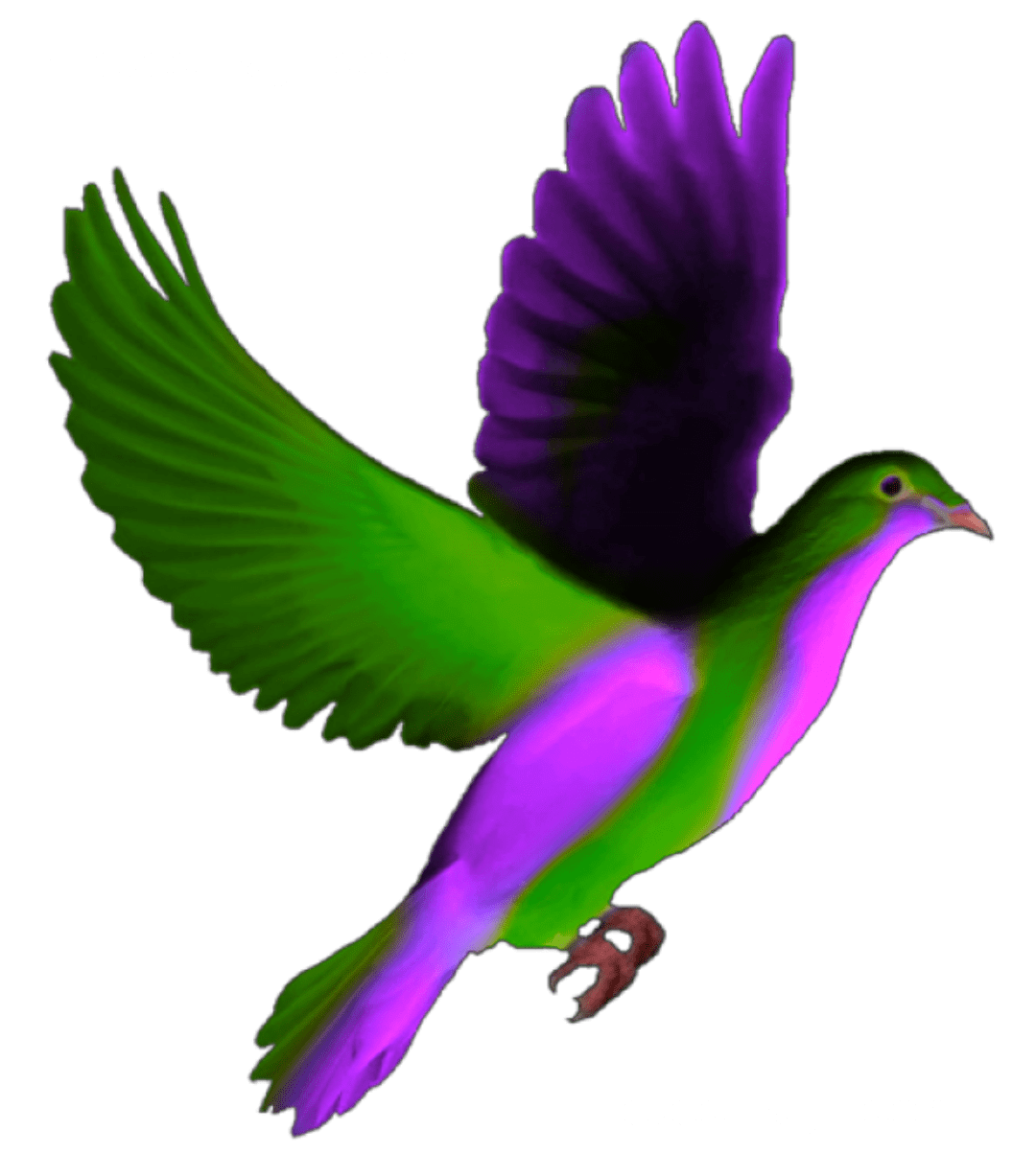 Pigeon Background PNG Clip Art