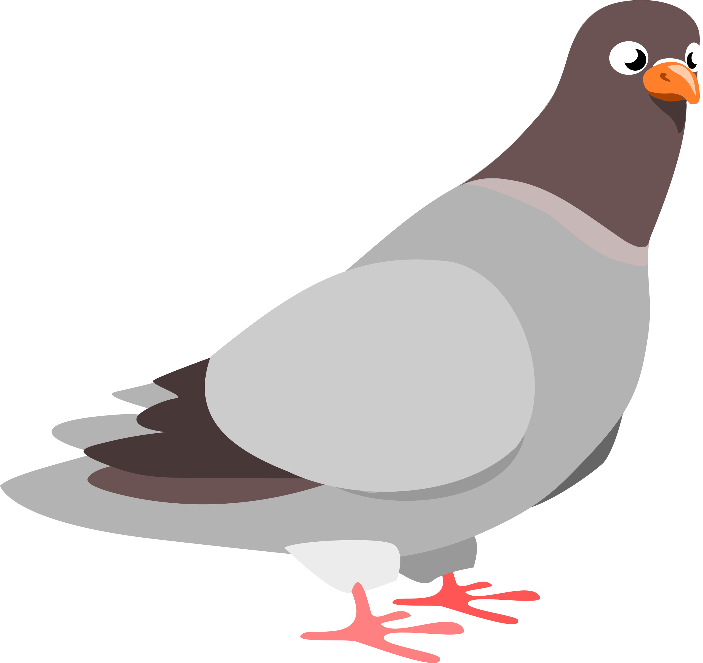 Pigeon Background PNG Image