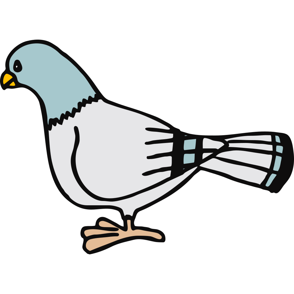 Pigeon Download Free PNG
