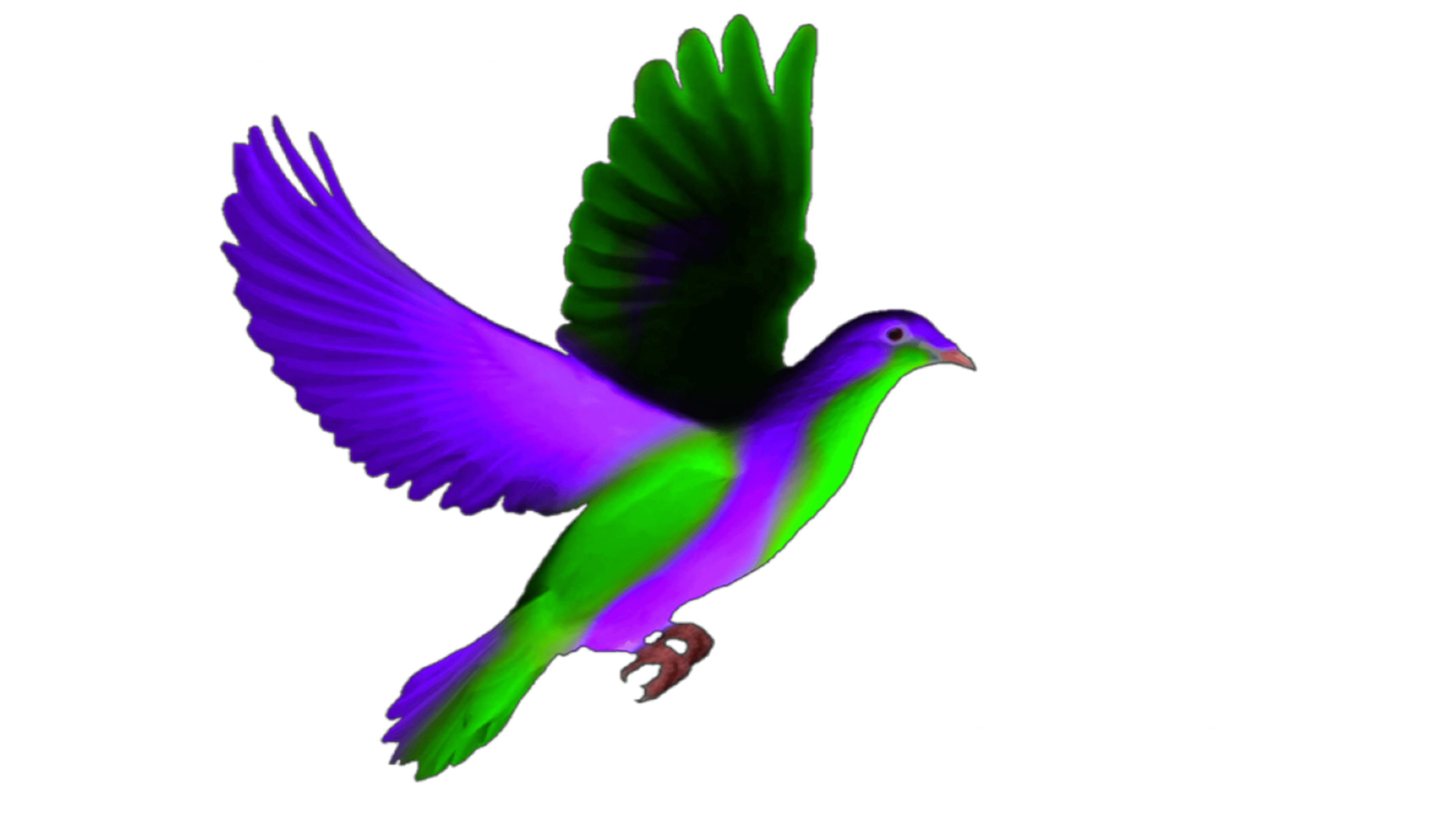 Pigeon PNG Free File Download