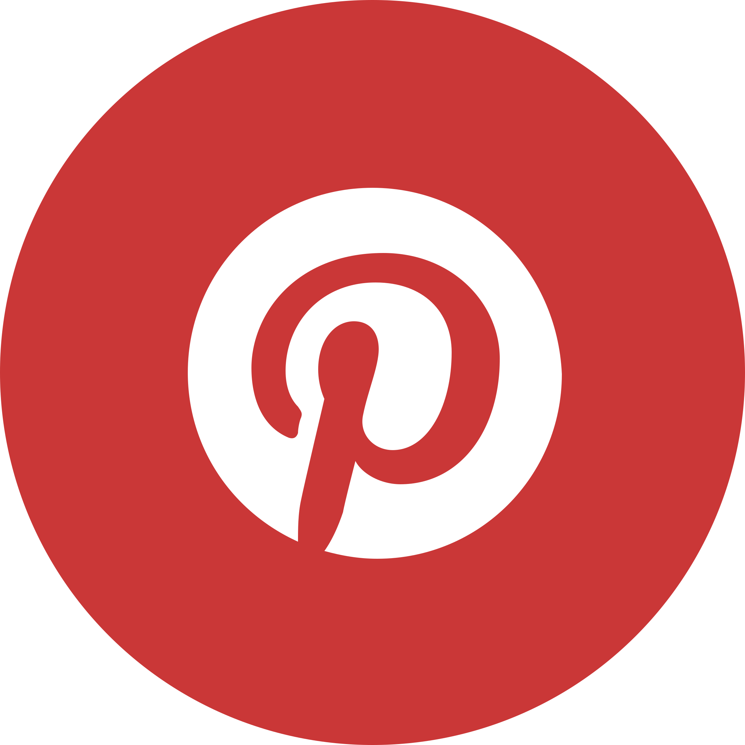 Imagen de clip art transparente de logo Pinterest
