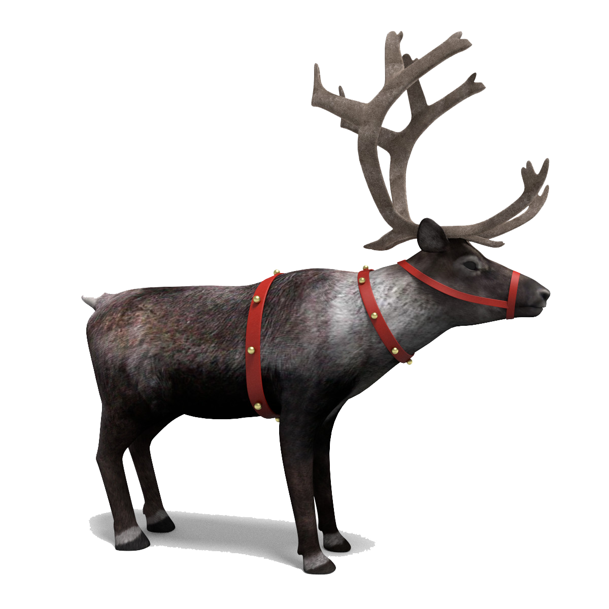 Reindeer Transparent Clip Art Image