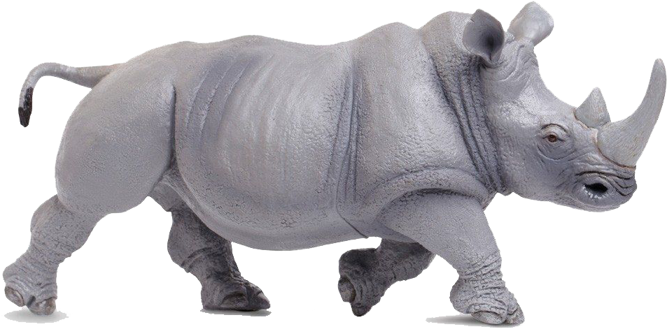 Rhino Background PNG Image