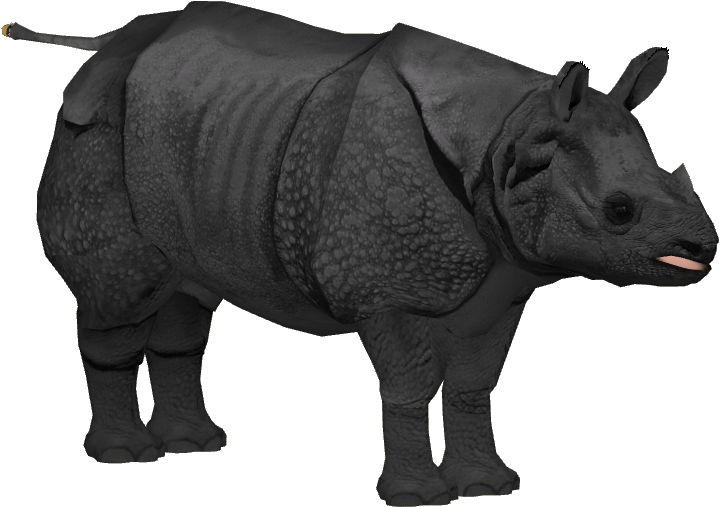 Rhino Free PNG Clip Art