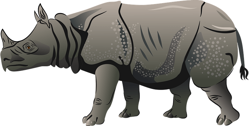 Rhino No Background Clip Art