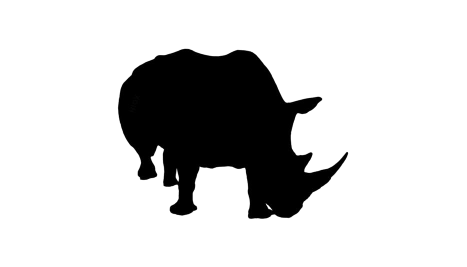 Rhino PNG Clip Art HD Quality