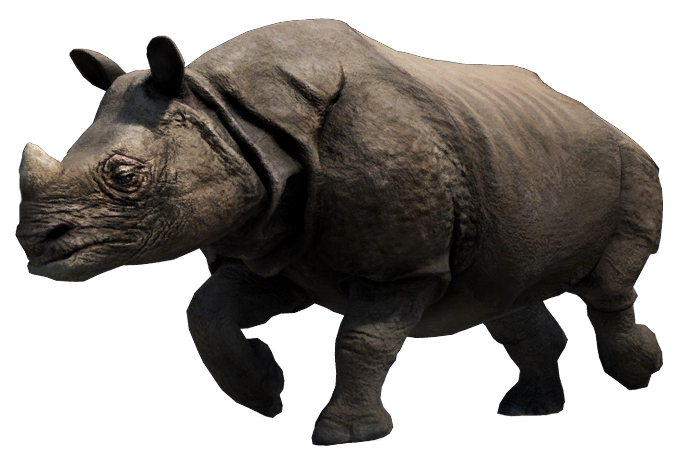 Rhino PNG Clipart Background