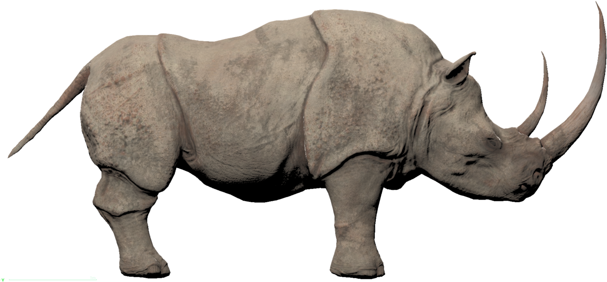 Rhino Transparent File