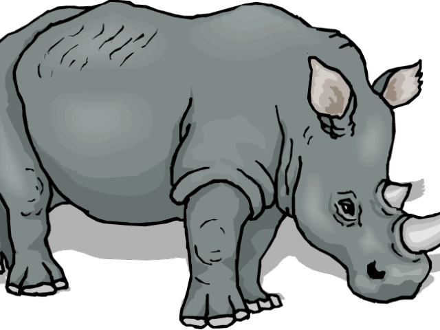 Rhino Transparent Free PNG