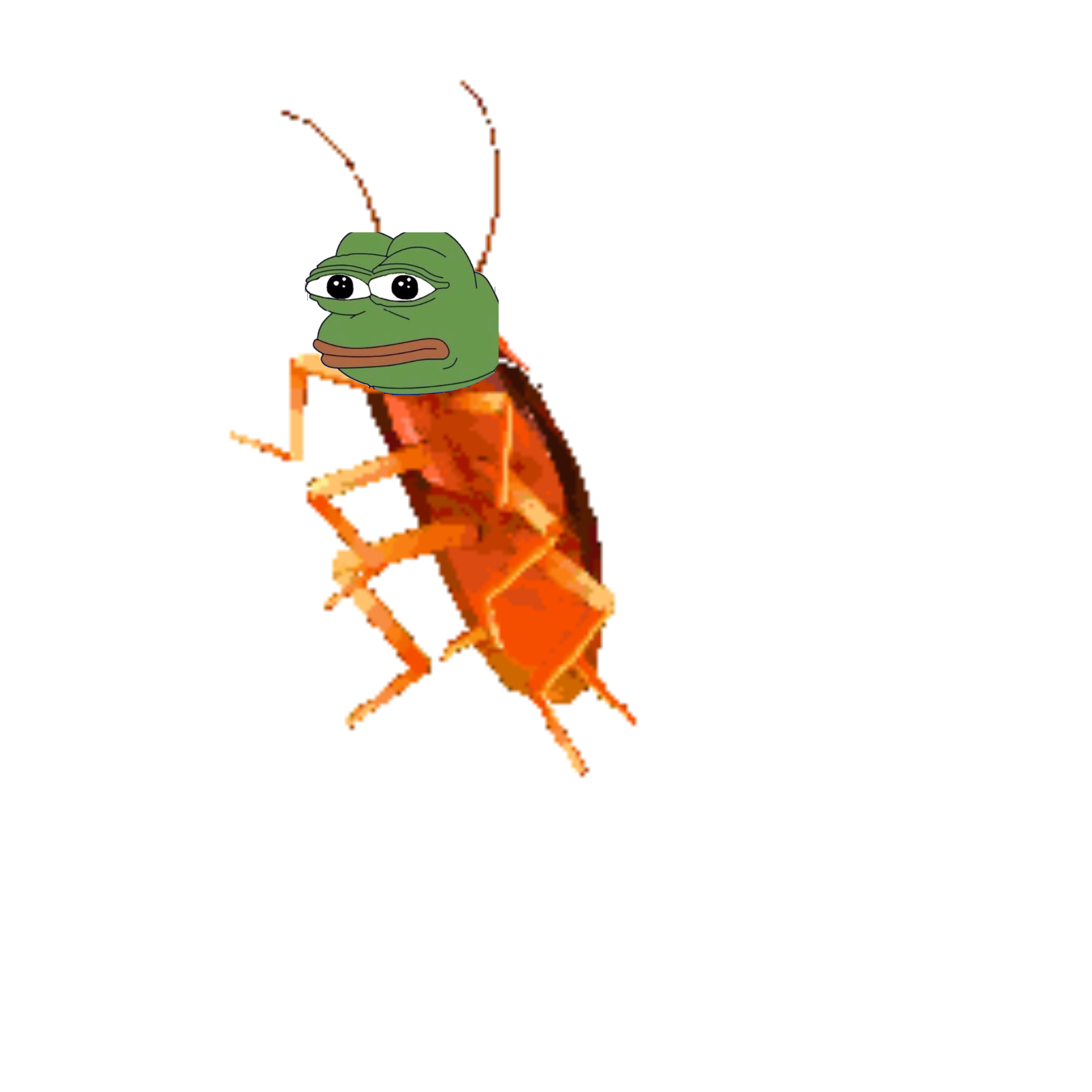Roach PNG HD Free File Download