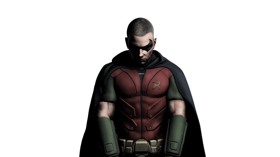 Robin PNG Images HD