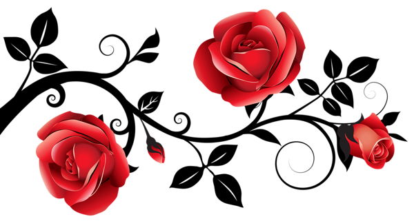 Rose Drawings Background PNG