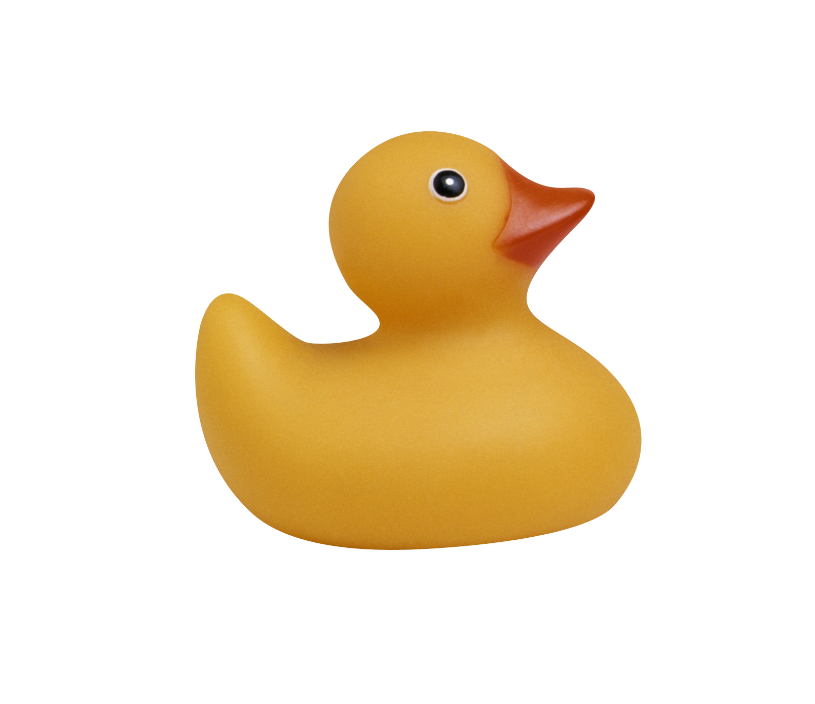 Rubber Duck Download Free PNG