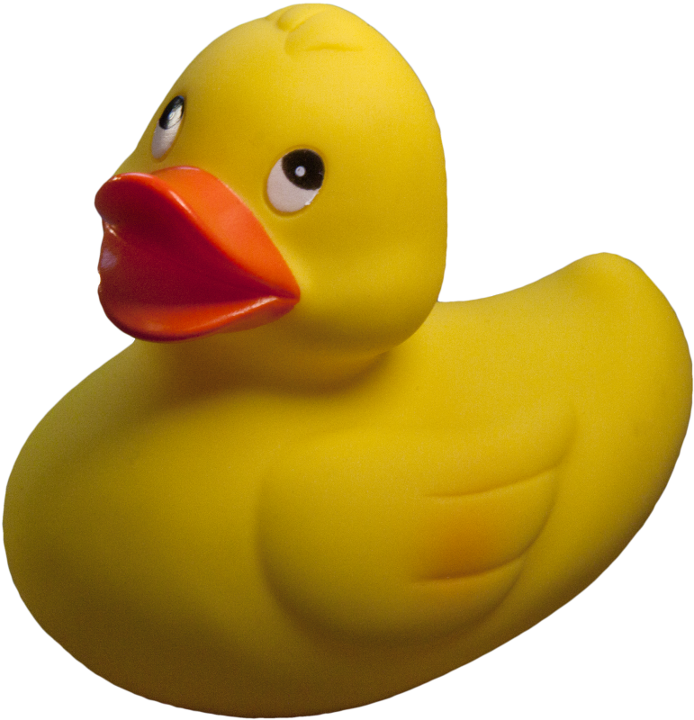 Rubber Duck PNG HD Free File Download