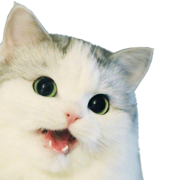 Sad Cat Meme PNG Clipart Background