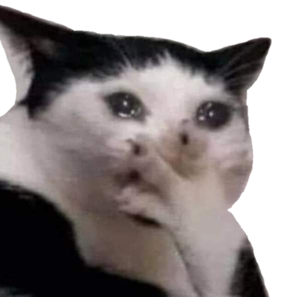 Sad Cat Meme PNG Photos