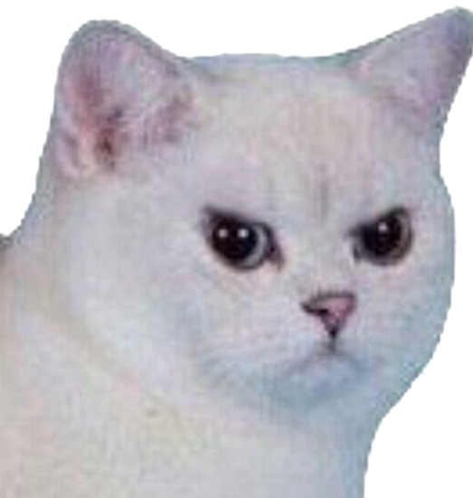 Sad Cat Meme Transparent Background