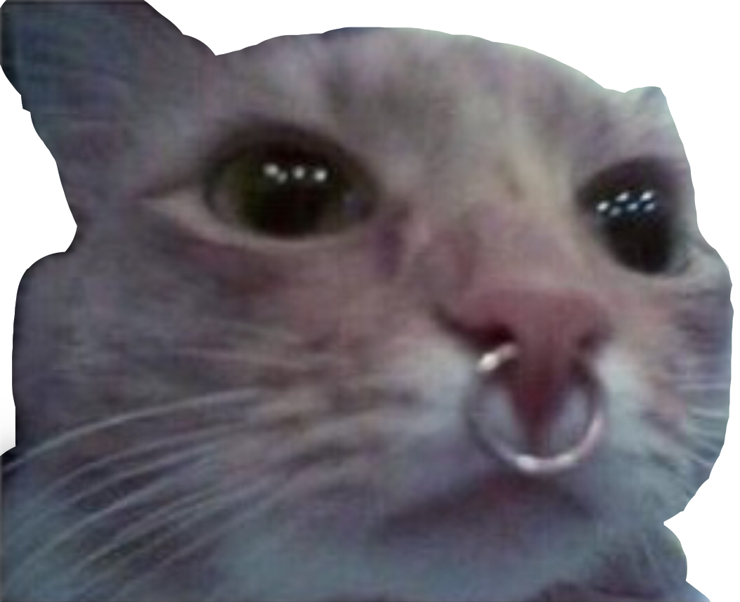 Sad Cat Meme Transparent Image
