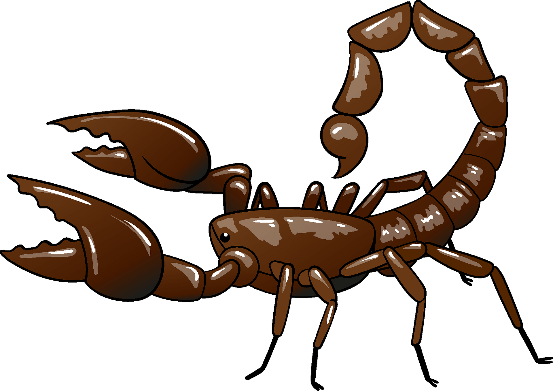 Scorpions Transparent Background