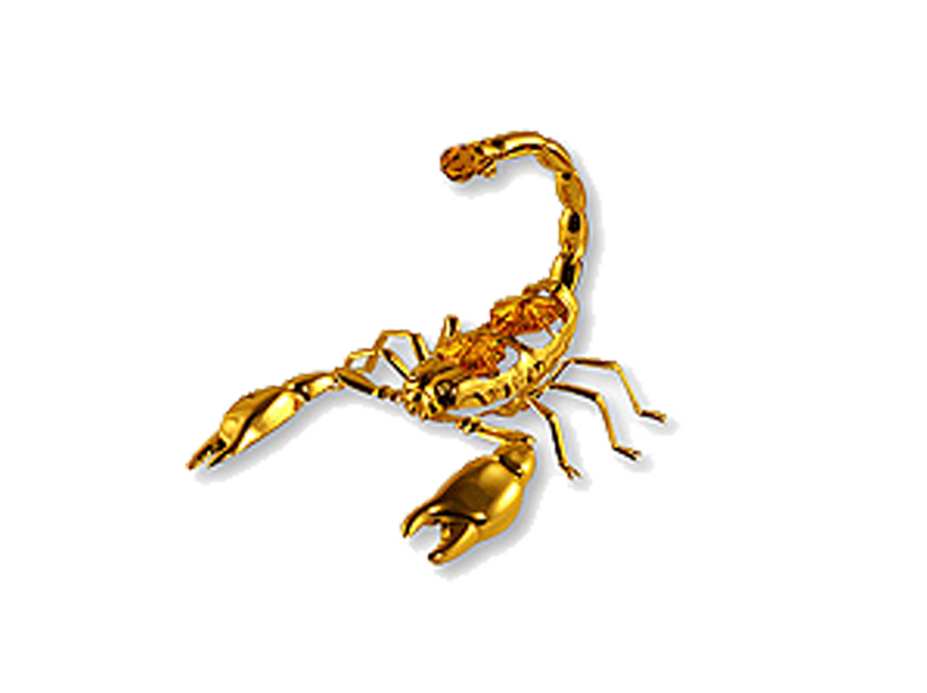 Scorpions Transparent Clip Art Image