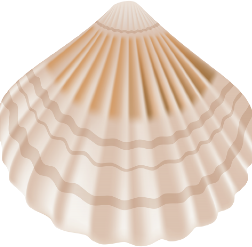 Seashell Background PNG Clip Art Image