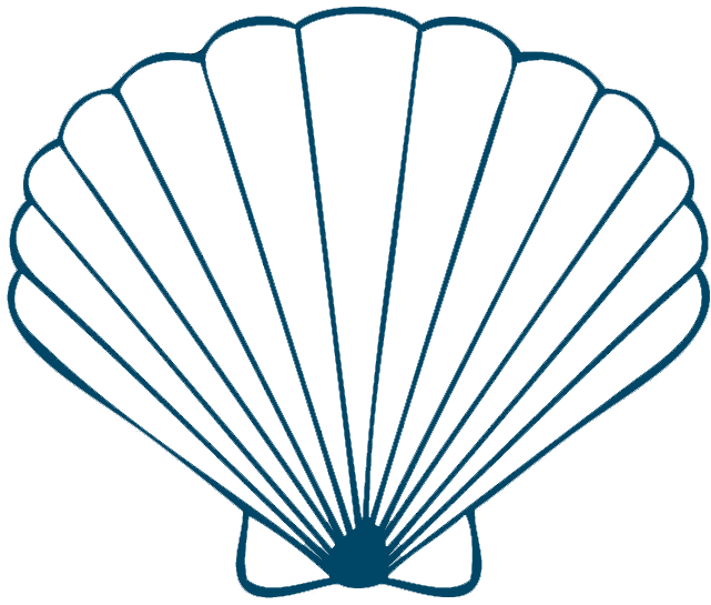 Seashell PNG Free File Download