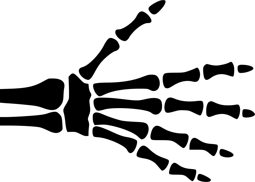Skeleton Hand Drawing Background PNG Image