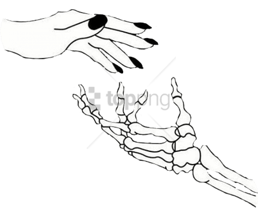 Skeleton Hand Drawing Free PNG