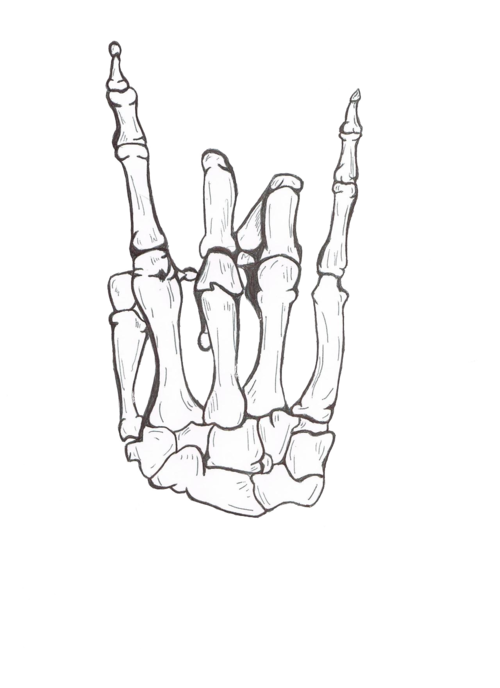 Skeleton Hand Drawing PNG Free File Download