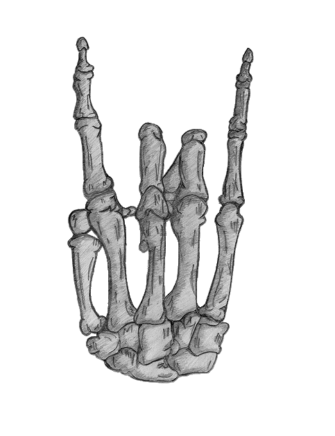 Skeleton Hand Drawing PNG Photos