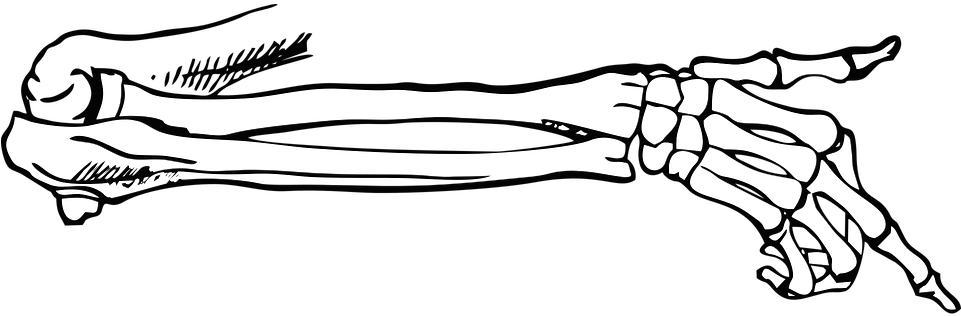 Skeleton Hand Drawing PNG Pic Background