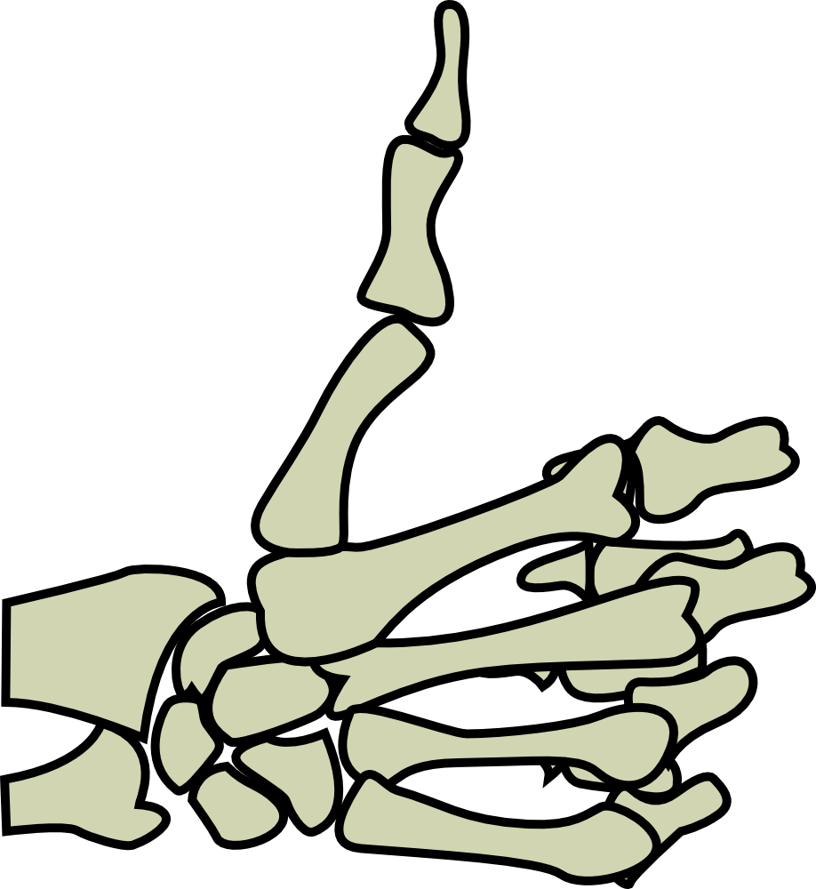 Skeleton Hand Drawing Transparent File