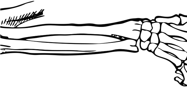 Skeleton Hand Drawing Transparent Images