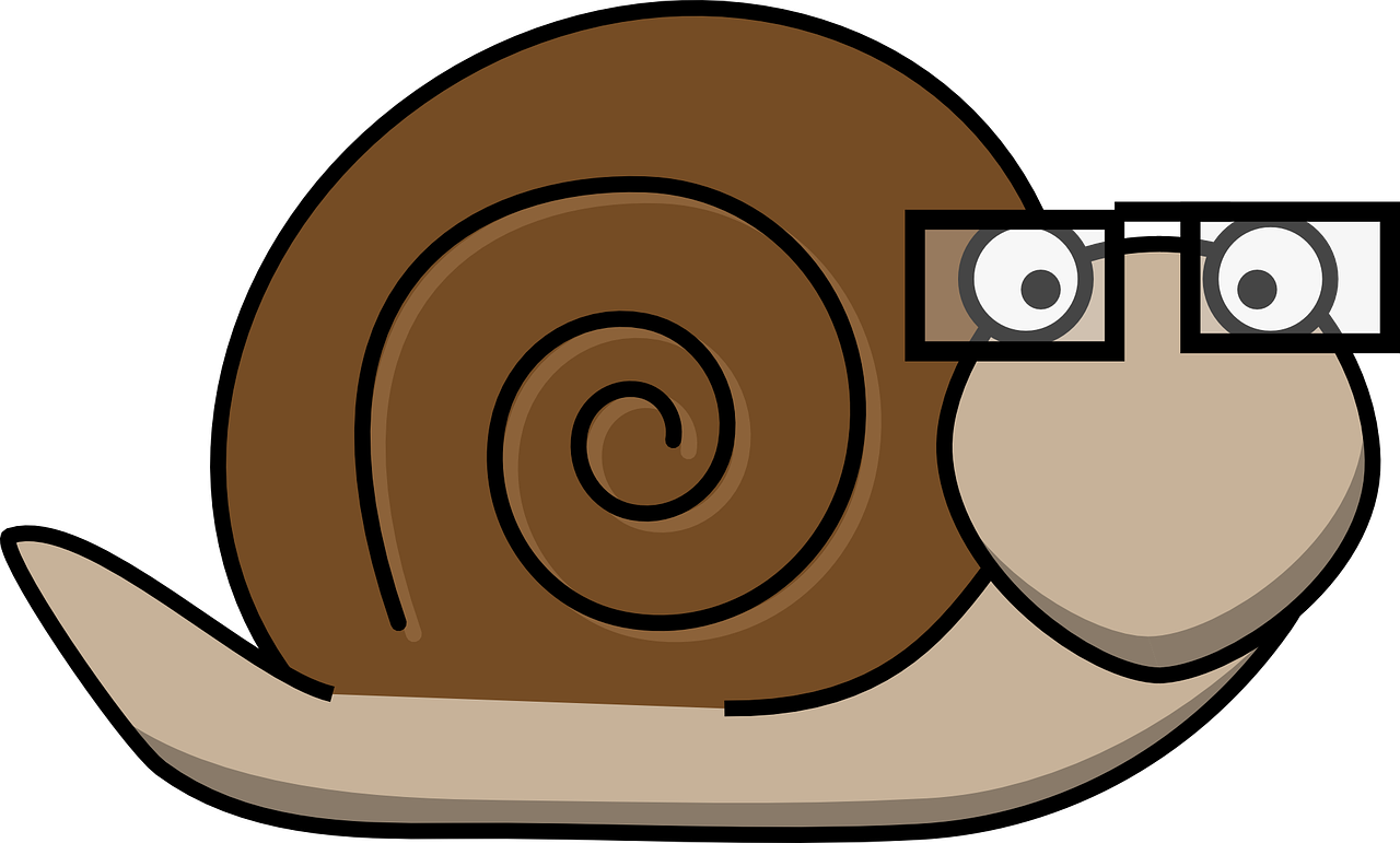 Snail Transparent Background