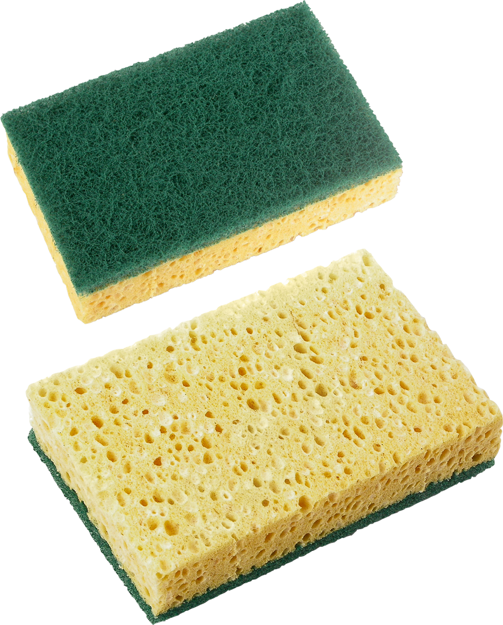 Sponge Transparent PNG