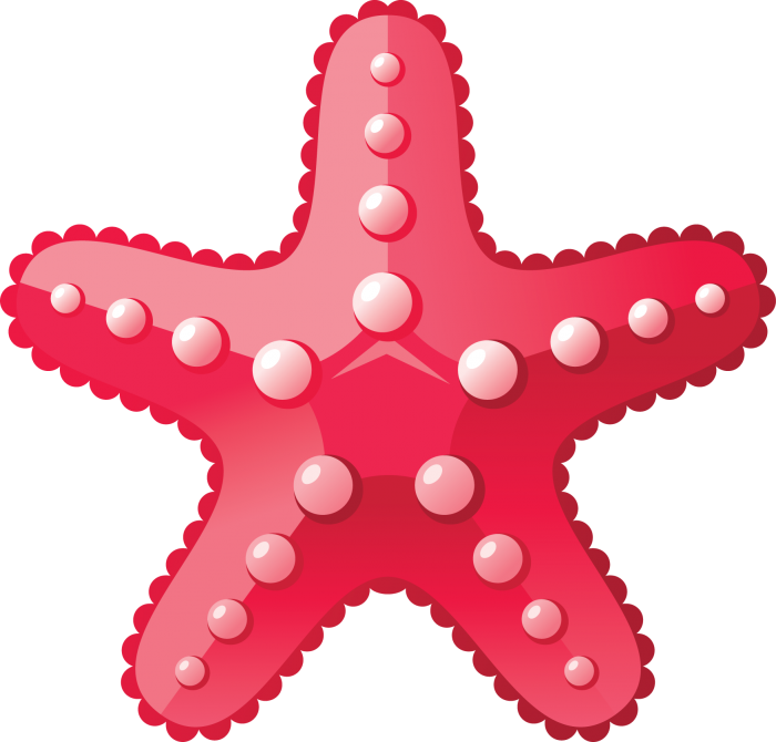 Starfish Background PNG Clip Art Image