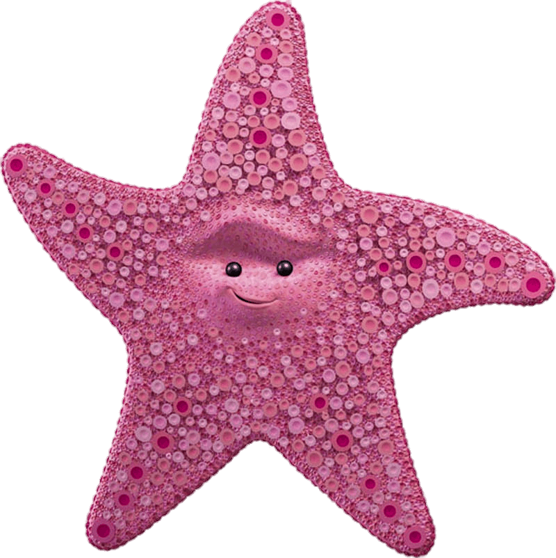 Starfish Background PNG Image