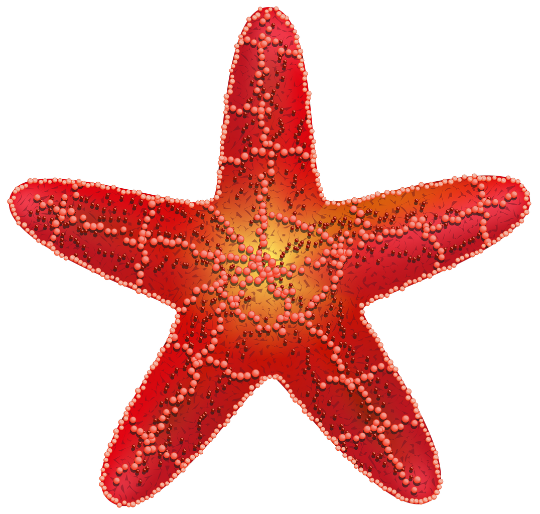 Starfish Clip Art Transparent PNG