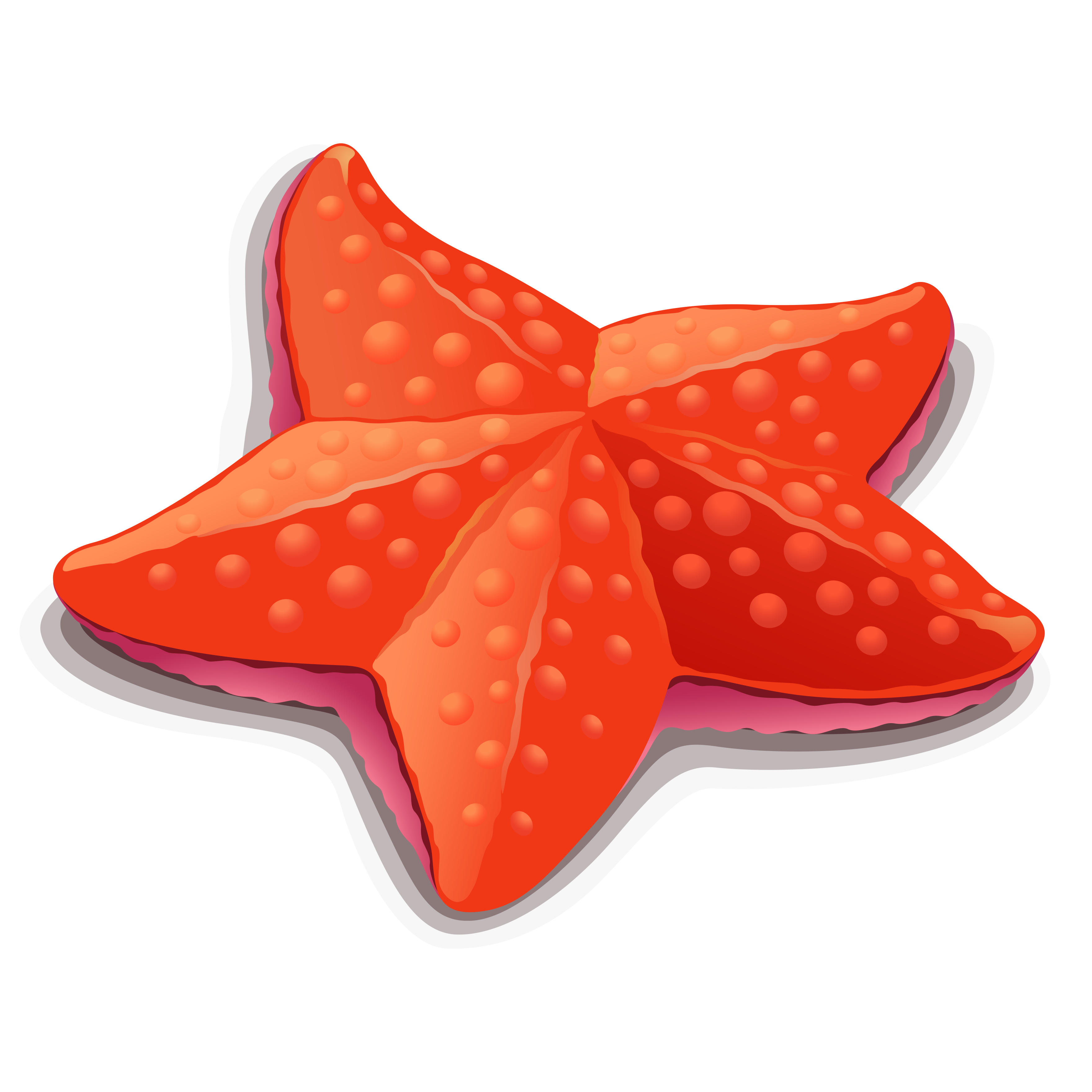 Starfish Transparent File Clip Art