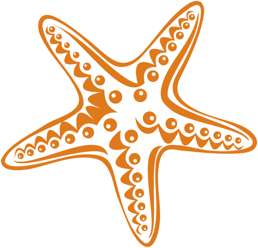 Starfish Transparent File