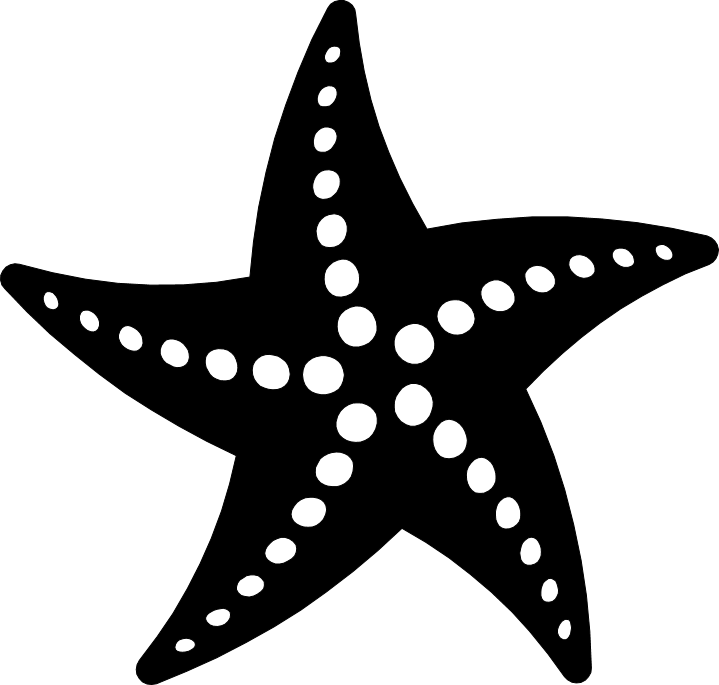 Starfish Transparent Free PNG