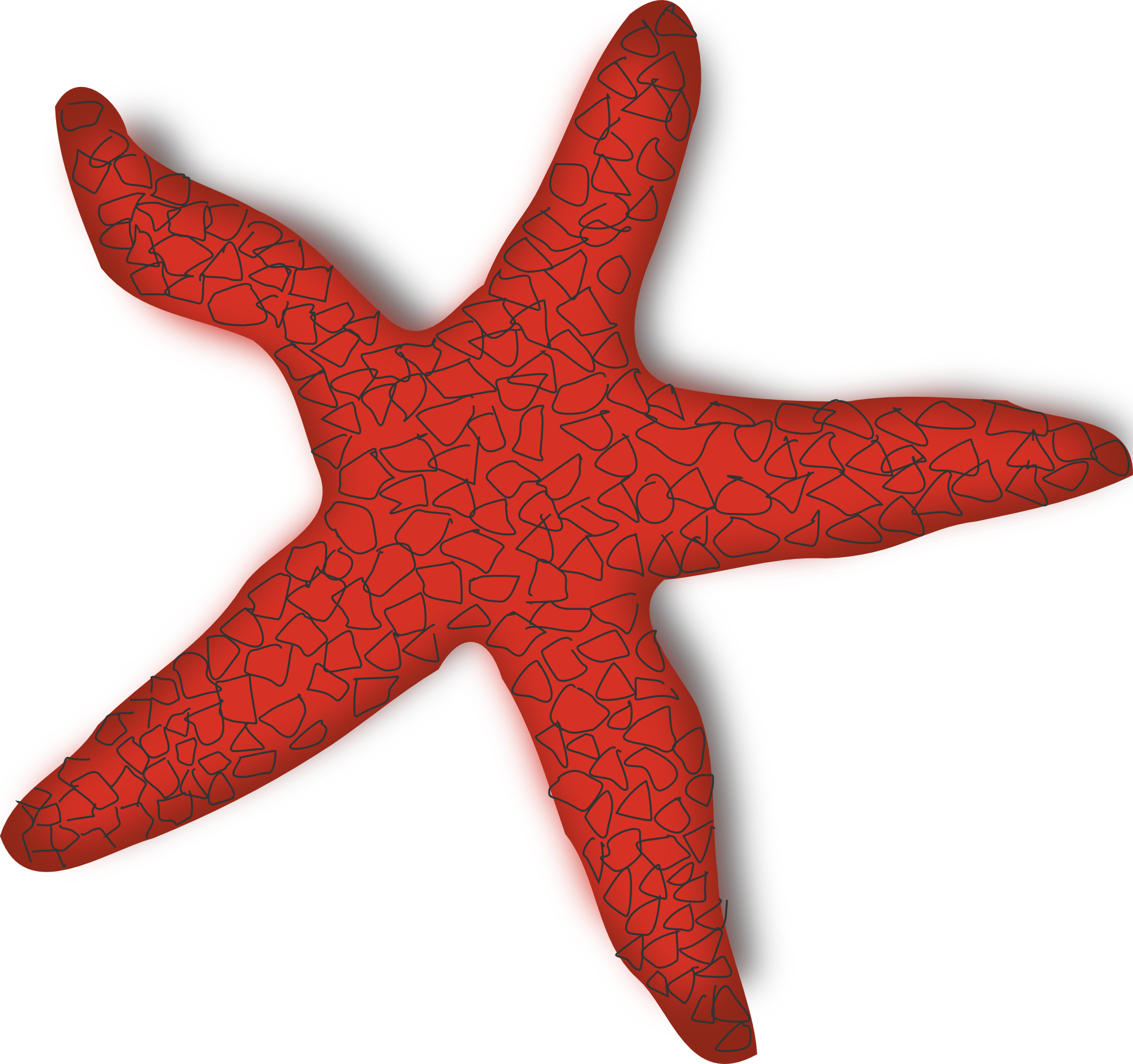 Starfish Transparent Images Clip Art