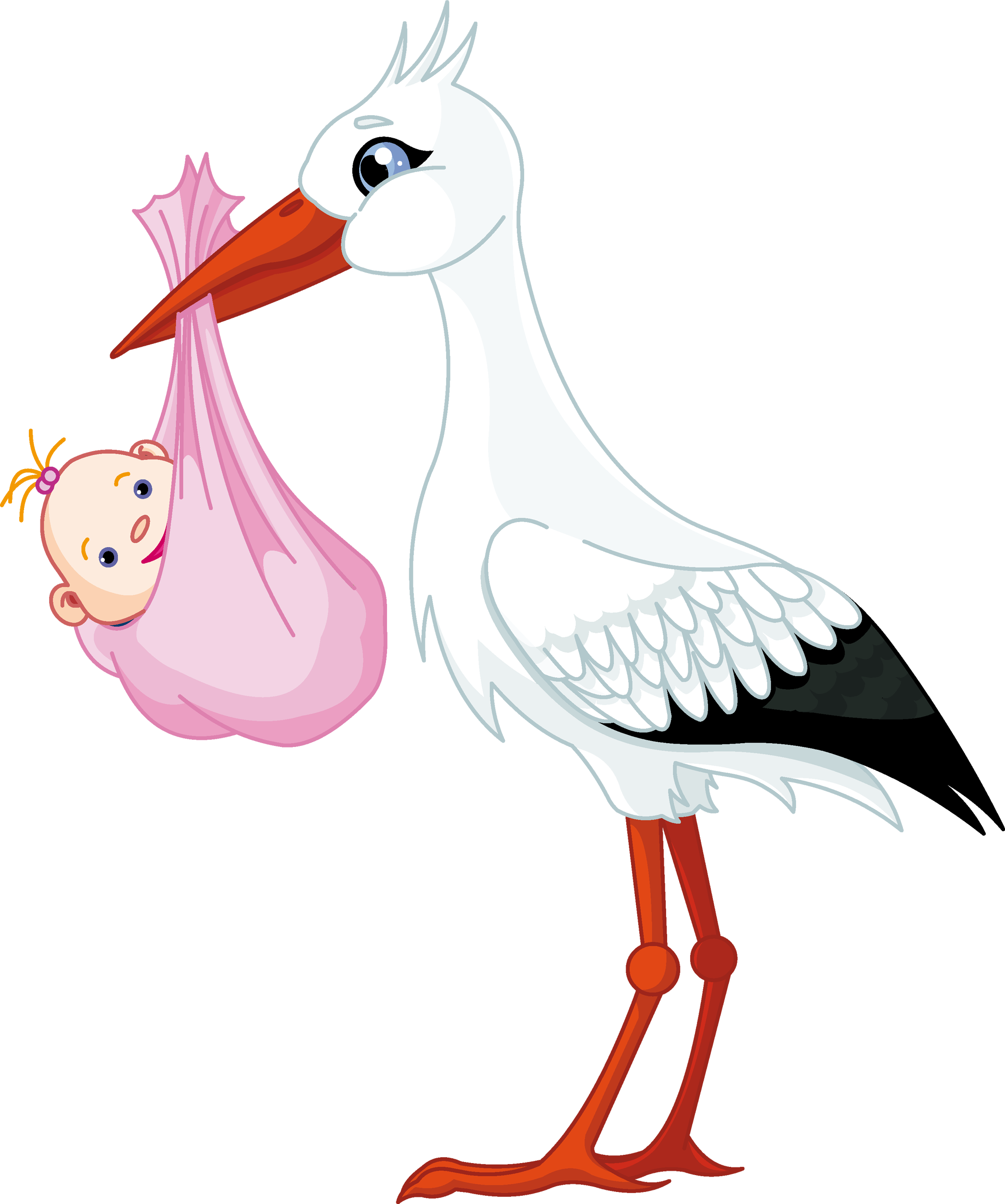 Stork Background PNG Image