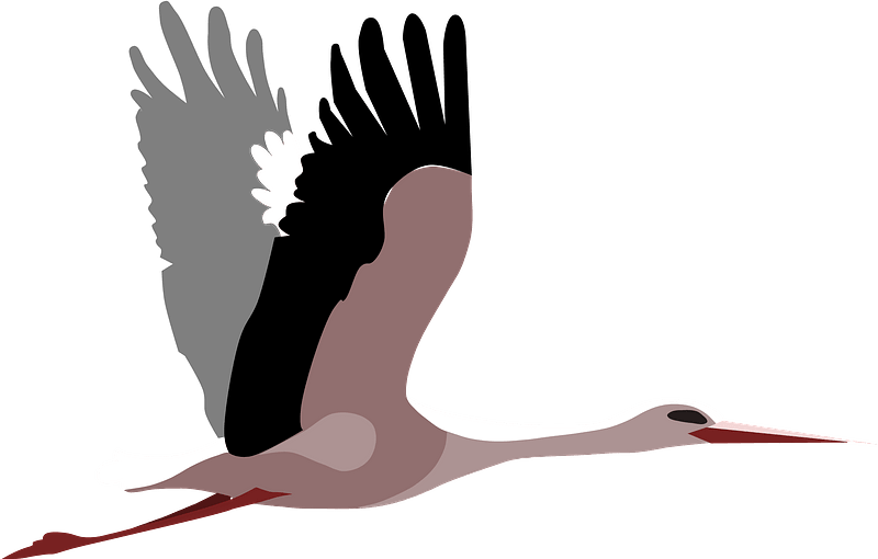Stork Background PNG