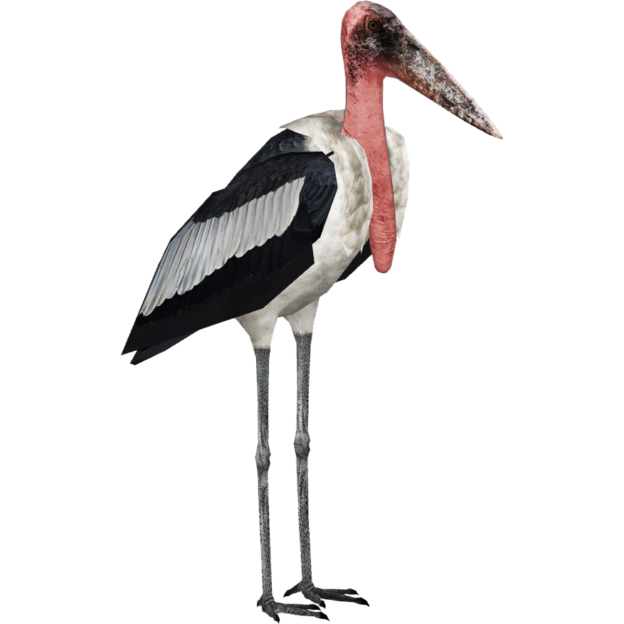 Stork Free PNG
