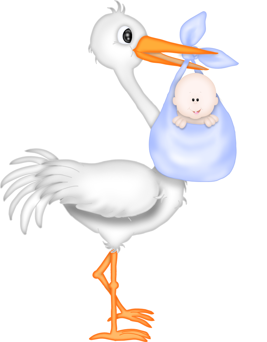 Stork PNG Pic Clip Art Background