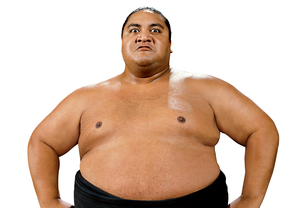 Sumo PNG HD Quality