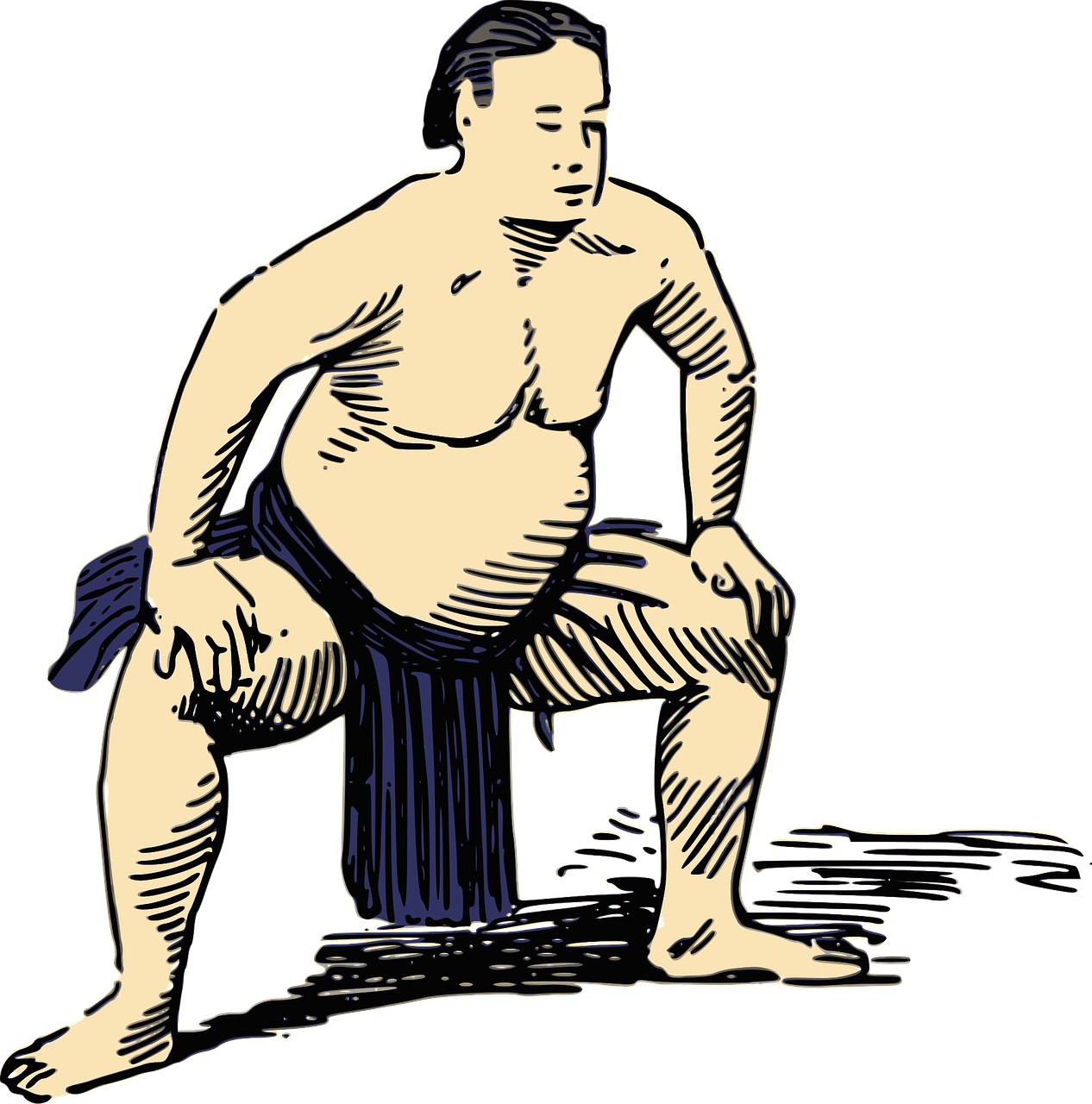 Sumo PNG Photo Image