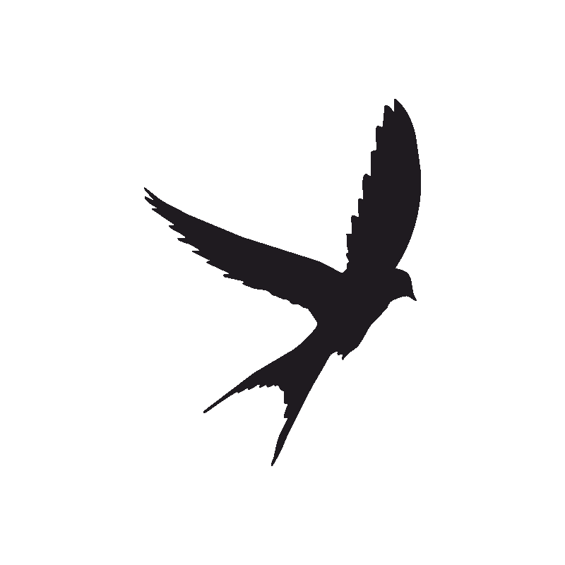 Swallow Background PNG